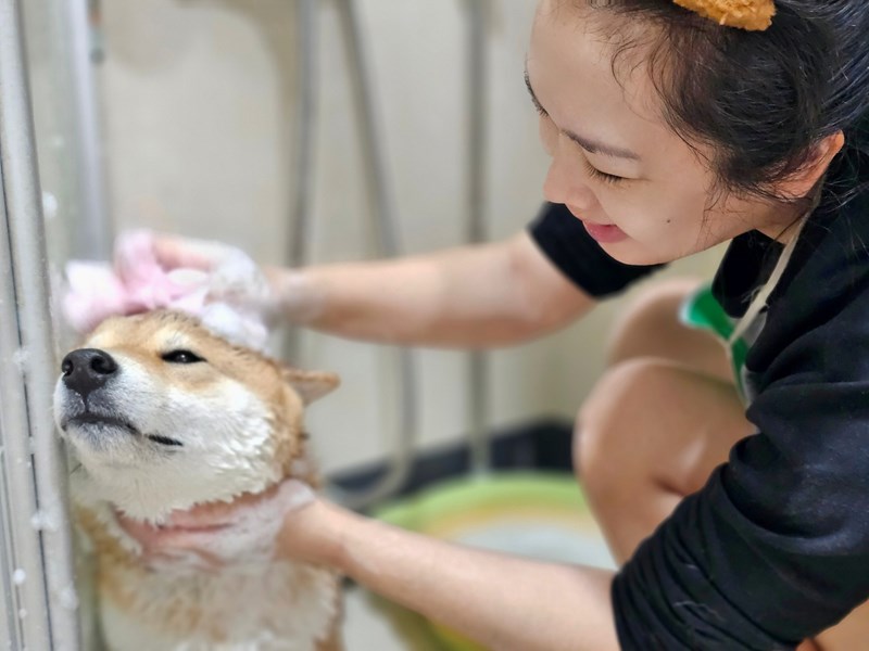 女人知己試用大隊,口碑行銷,部落客行銷,Goodmofamily歸毛家族 寵物肌膚救星組,歸毛家族 寵物肌膚救星,舒敏保濕洗毛乳,護膚噴液,精萃營養霜,博士30年生技專業,給足皮膚營養保護力,無抗生素 無類固醇,神經醯胺,19種綜合胺基酸,榮獲SNQ國家認證,上萬毛爸媽見證,3週幫助皮膚健康,NO.1寵物肌膚口碑霸主,寵物第一護膚領導品牌